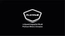 Platinum Cars