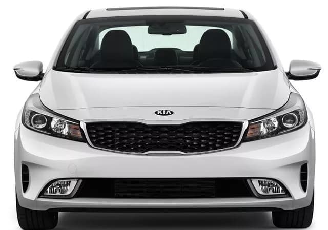 Cerato