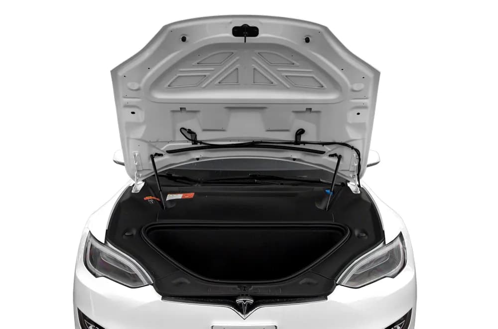 P100D