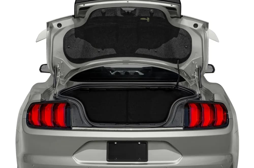 Mustang