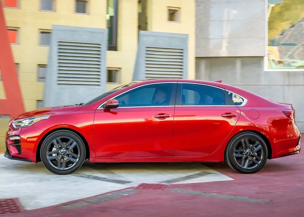 Cerato
