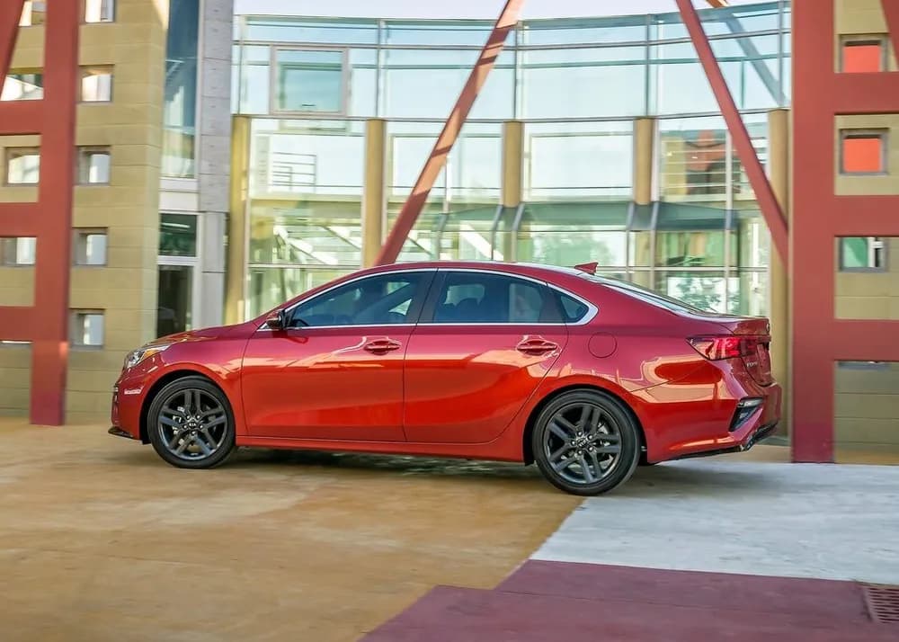 Cerato
