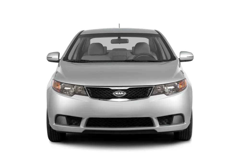 Cerato