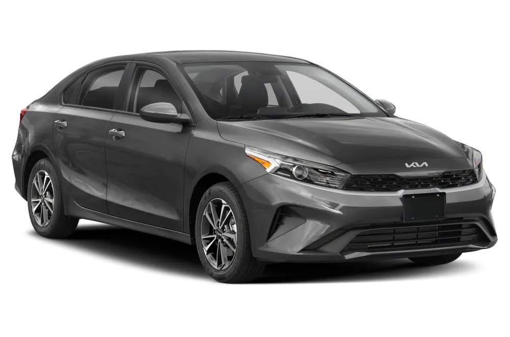 Cerato