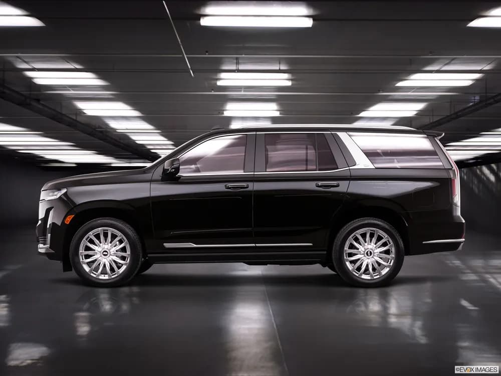 Escalade