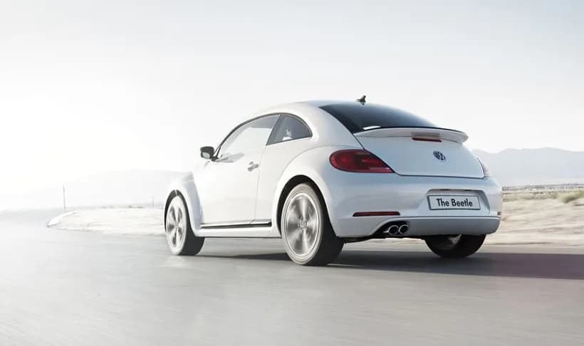 Beetle