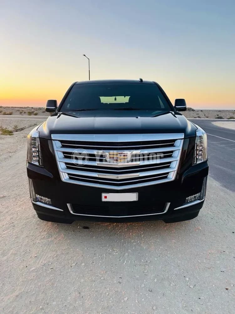 مستعملة كاديلاك اسكاليد 6.2L Platinum 2019