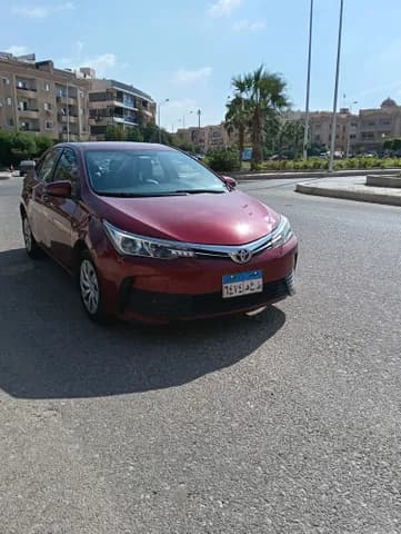 Used Toyota Corolla 1.6L GR 2019 Used Toyota Corolla 1.6L GR 2019 for sale
