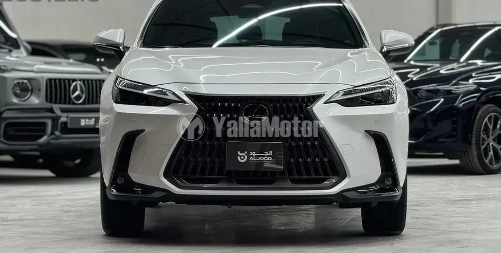 Used Lexus NX 2024