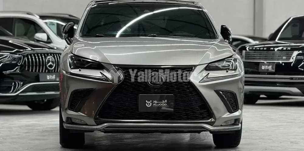 Used Lexus NX 2019