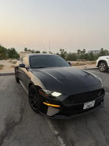Used Ford Mustang 2.3L EcoBoost Coupe 2019 Used Ford Mustang 2.3L EcoBoost Coupe 2019 used_cars.forSale