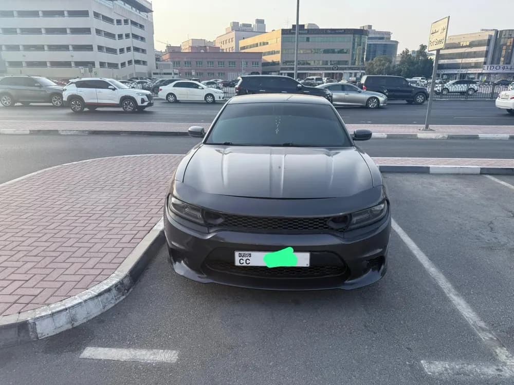 Used Dodge Charger 2019