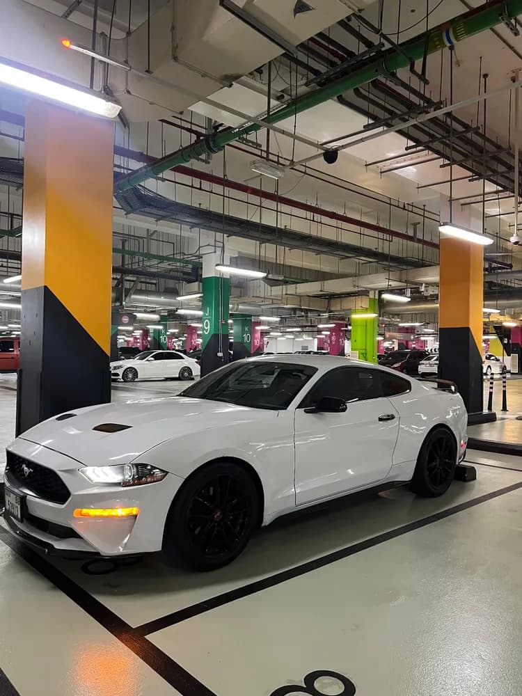 Used Ford Mustang 2.3L EcoBoost Coupe 2020