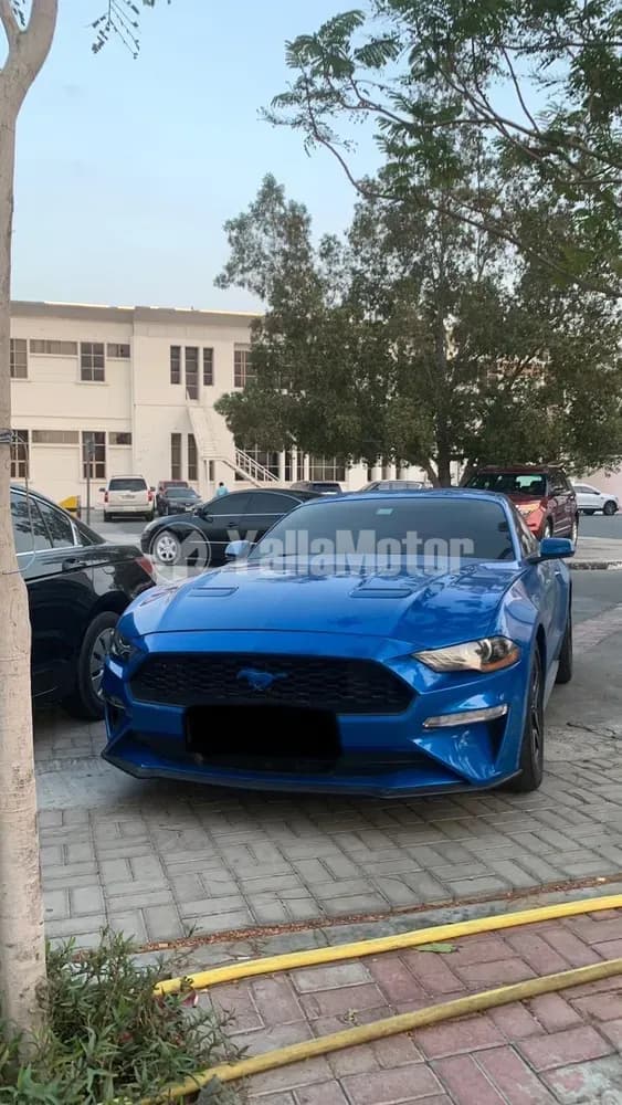 Used Ford Mustang 2.3L EcoBoost Coupe 2017