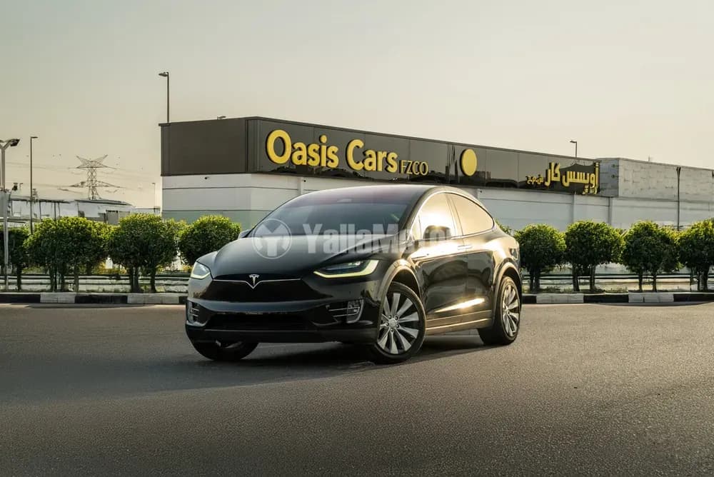 Used Tesla Model X 100D 2019