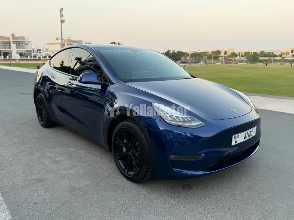 Used Tesla Model Y Long Range (AWD) 2021
