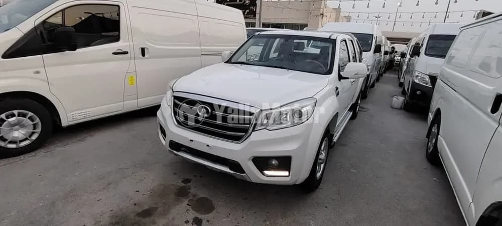 Used Great Wall Wingle 2019