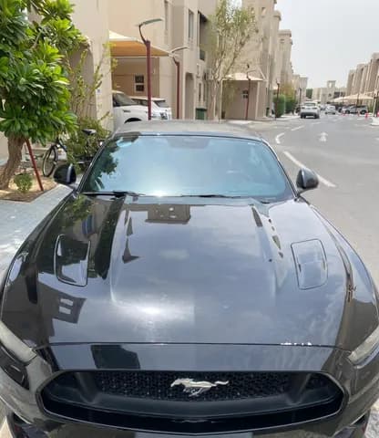 Used Ford GT 2016 Used Ford GT 2016 used_cars.forSale