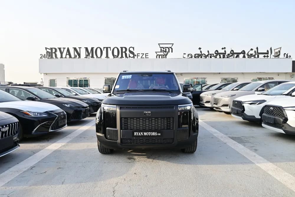 New ROX 01 1.5T VIP (PHEV) 2025