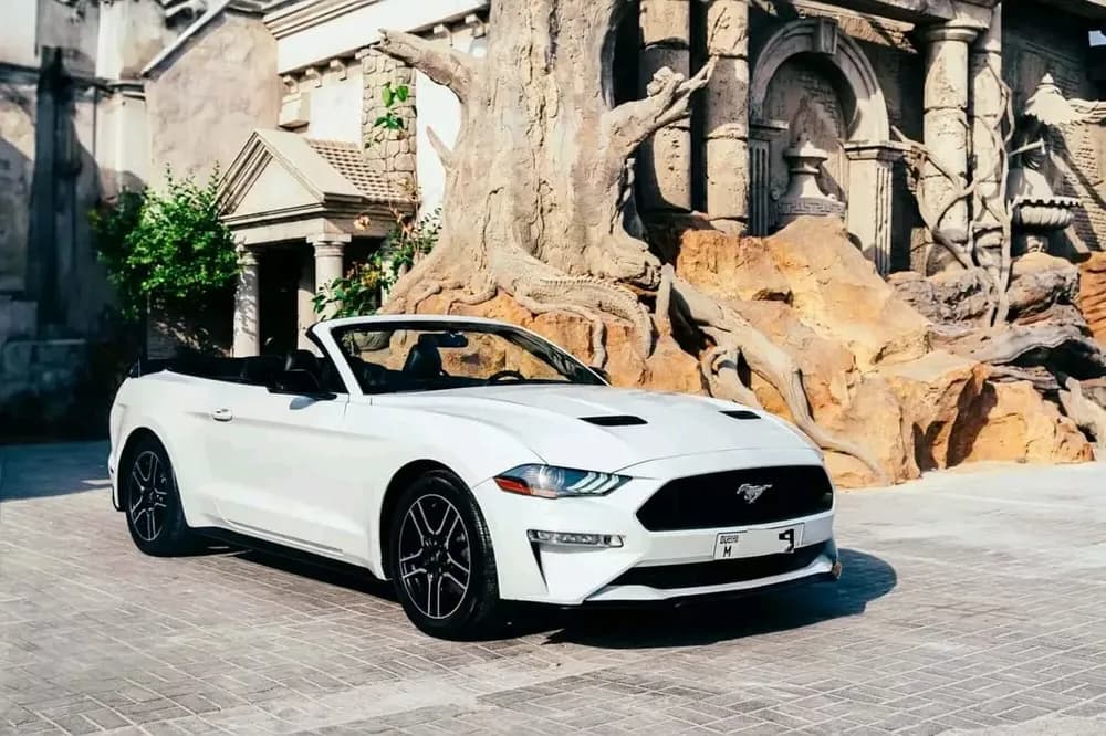 Used Ford Mustang 2.3L EcoBoost Convertible 2019