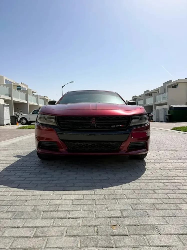 Used Dodge Charger 3.6L SXT Plus 2019