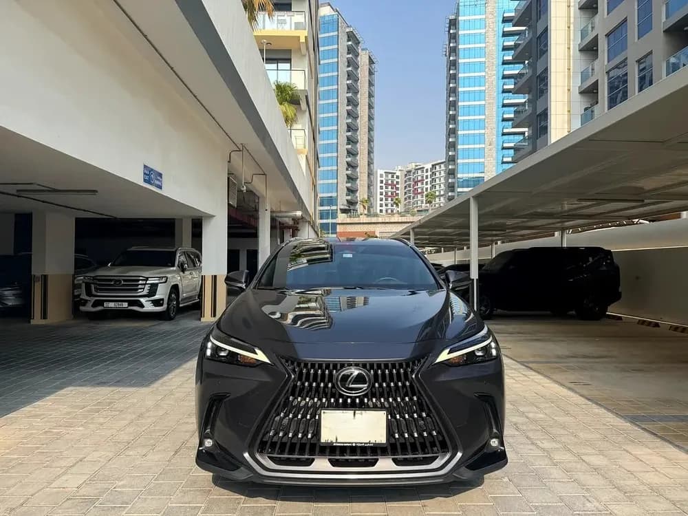 Used Lexus NX Premier 2025
